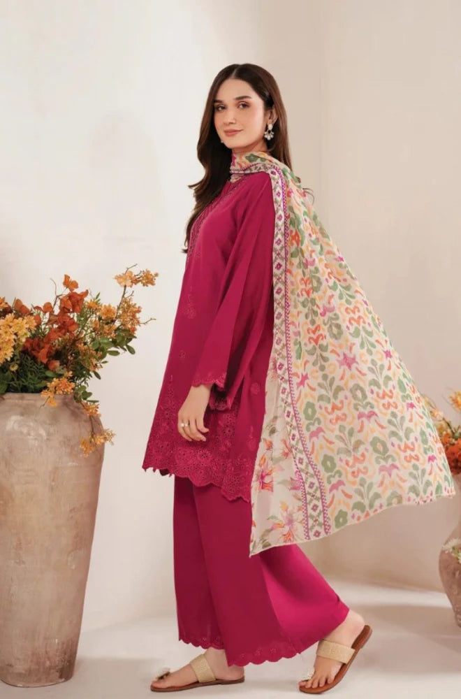 NF-728 Garnet Chickenkari Special Danak - 3PC