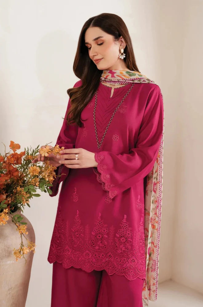 NF-728 Garnet Chickenkari Special Danak - 3PC