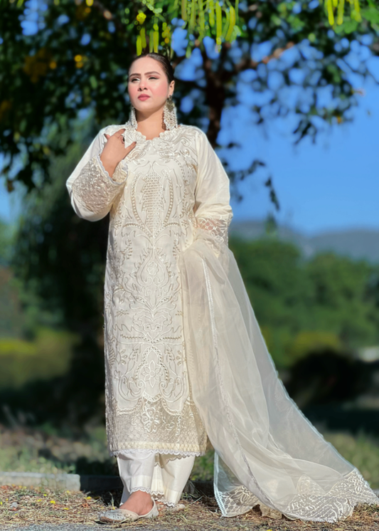 NF-810 Maria b Chickenkari Special with Ready to wear Dubata Lawn 3PC